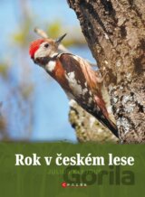 Rok v českém lese
