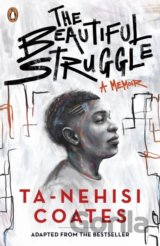 The Beautiful Struggle