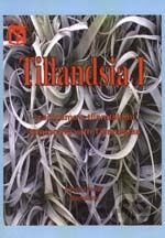 Tillandsia 1 - Začínáme s tilandsiemi