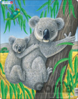 Koala (D7)