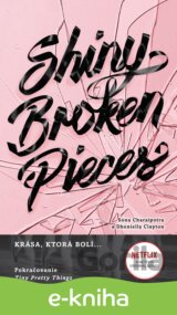 Shiny Broken Pieces (slovenský jazyk)