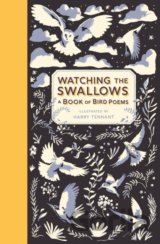 Watching the Swallows
