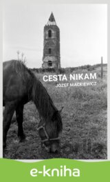 Cesta nikam