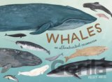 Whales