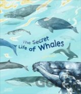 The Secret Life of Whales