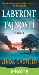 Labyrint tajností