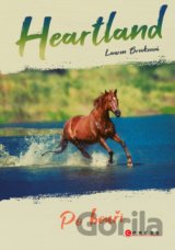 Heartland: Po bouři