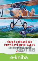 Česká stíhací esa první světové války