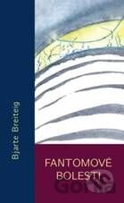 Fantomové bolesti