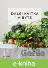 Další kvítka v bytě: Ruce od hlíny