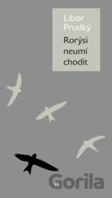 Rorýsi neumí chodit