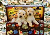 Two Travel Puppies