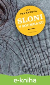 Sloni v soumraku