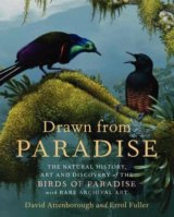 Drawn from Paradise