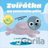 Zvířátka na severním pólu