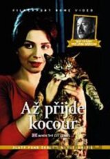 Až přijde kocour +  Šest otázek pro Jana Wericha