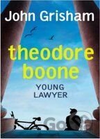 Theodore Boone: Young Lawyer