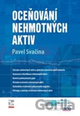 Oceňování nehmotných aktiv