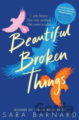 Beautiful Broken Things