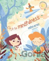 Co je mindfulness