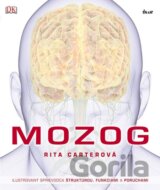 Mozog