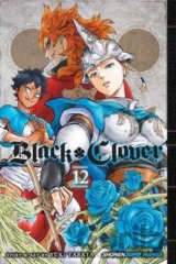 Black Clover 12