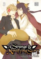 A Strange and Mystifying Story (Volume 3)