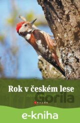 Rok v českém lese