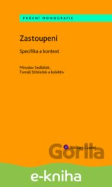 Zastoupení - Specifika a kontext