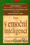 Práce s emoční inteligencí