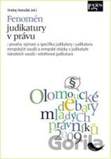 Fenomén judikatury v právu