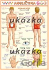 Obrázková angličtina 3 - ľudské telo