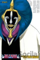 Bleach 12