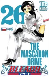 Bleach 26