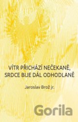 Vítr přichází nečekaně, srdce bije dál odhodlaně