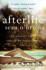 Afterlife