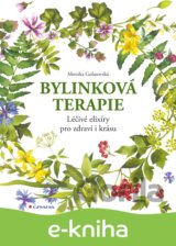 Bylinková terapie
