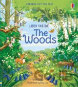 Look Inside the Woods