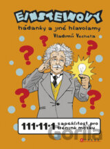 Einsteinovy hádanky a jiné hlavolamy