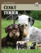 Český terier