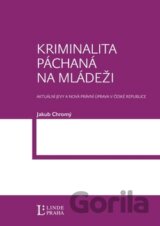 Kriminalita páchaná na mládeži