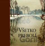 Všetko prebolí