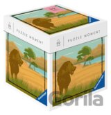 Safari