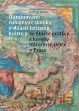 Iluminované rukopisné zlomky z oblasti latinské kultury ve Sbírce grafiky a kresby Národní galerie v Praze