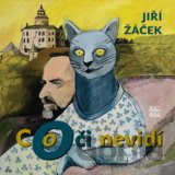 Co oči nevidí