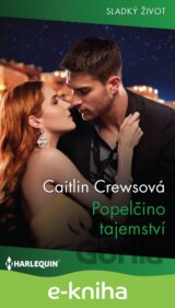 Popelčino tajemství