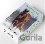 Objavuj! Kvarteto kone