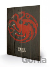 Obraz Game of Thrones: Targaryen