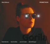 Nikol Bóková: Prometheus