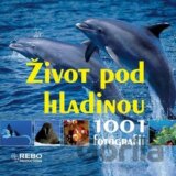 Život pod hladinou